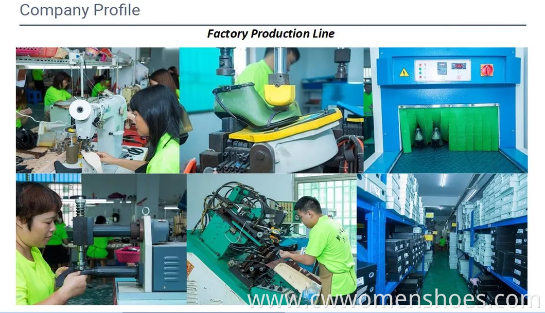 Sport Shoes Women Special Design Chunky Shoes for Autumn Women's Casual Thick-Soled Running Sneakers Fa-Y5502